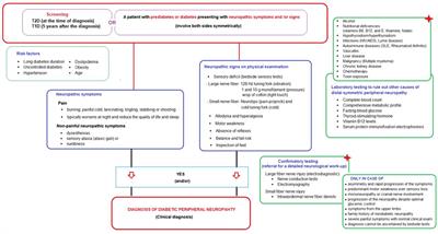 Expert opinion on screening, diagnosis and management of diabetic peripheral neuropathy: a multidisciplinary approach